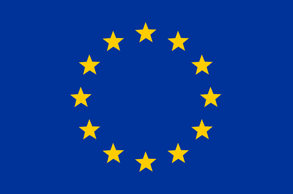 ELEZIONI DEL PARLAMENTO EUROPEO- 2024 - scrutini