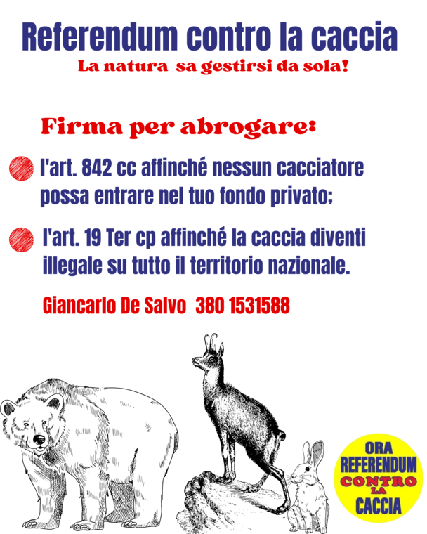 titolo immagine