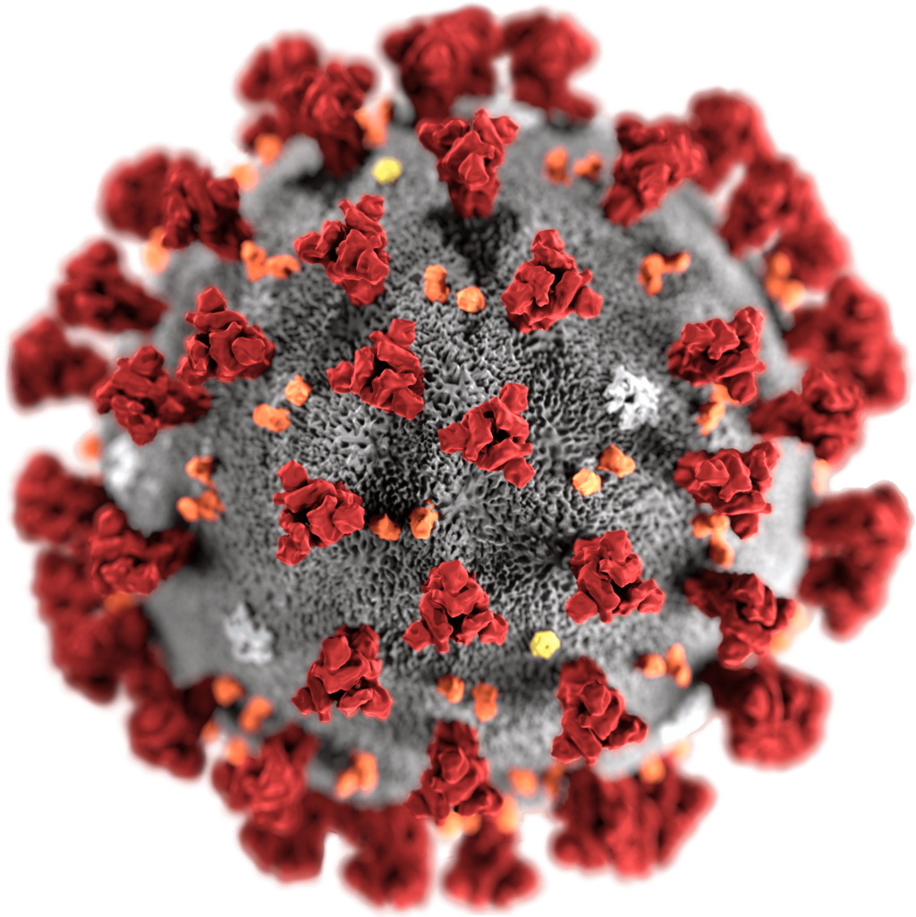 CORONAVIRUS - comportamenti da seguire